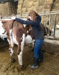 Ostéopathie animale : comment s’inscrit-elle dans le monde agricole ? 