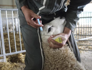 Des assises pour davantage d'anticipation