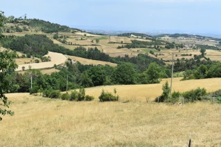 Calamités agricoles : le calendrier s’accélère