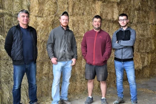 Fourrages : enfin un peu de pluie !