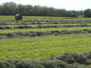 Tout savoir pour réussir son ensilage d'herbe