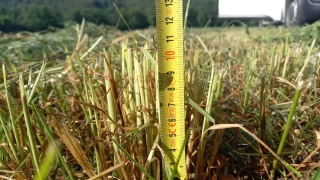 Luzerne : une récolte bien menée pour un fourrage de qualité