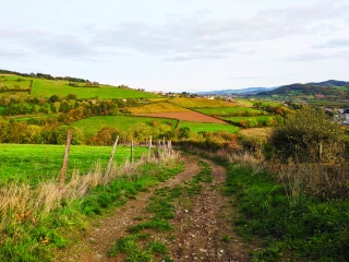 Le Parlement européen adopte sa position de négociation