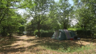 Une saison estivale en demi-teinte