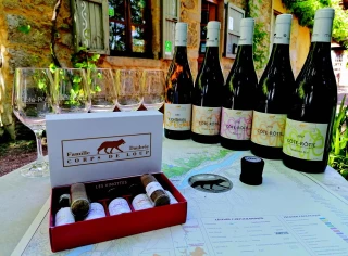 Des « e-nitiatives » originales nées pendant le confinement