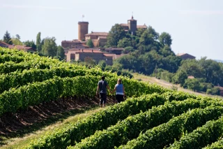 « Tout un écosystème qu’il faut aujourd'hui relancer »