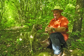 Les chiens : meilleur ami de l'agriculteur