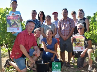 L’opération « Vendangeur d’un jour » est lancée