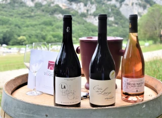 Côtes du Vivarais : des résultats stabilisés