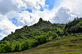 L’AOC Saint-Péray se porte bien !