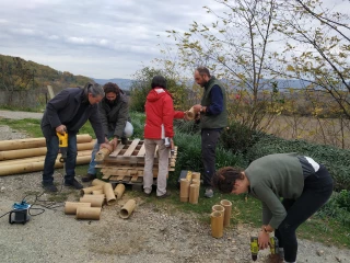 Des méthodes alternatives pour lutter contre la flavescence dorée