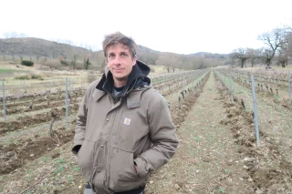 Zoom sur le vignoble du Pradel