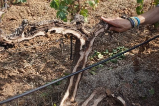 Taille : changer de paradigme