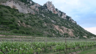 Le Rhône et ses vignes bientôt au patrimoine mondial de l’Unesco ?