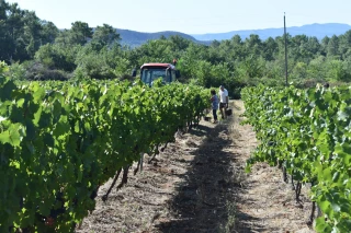 « Des volumes de production historiquement faibles »