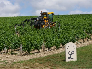 Sélection de nouveautés en matériel de vendange