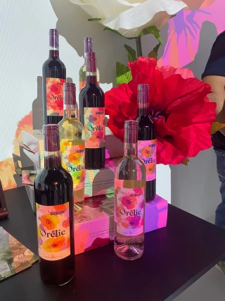 Sortie des vins primeurs sous la gamme Orélie 
