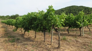 Orages des 23 et 24 octobre 2023 : ouverture du dépôt des demandes d’indemnisation 