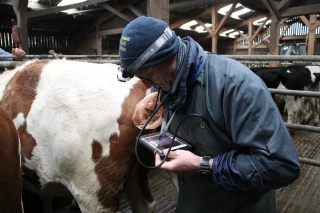 XR Repro affiche de bonnes performances sur le territoire