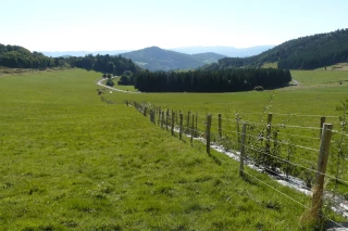 Une cohabitation aux multiples ressources