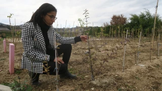« Une entité experte »