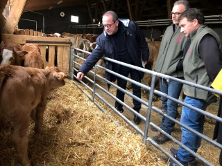 Bœuf des prairies fleuries : le député Hervé Saulignac en visite au Gaec d’Antraygues