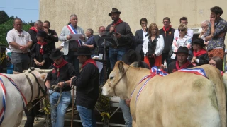 Carton plein pour la fête du Fin Gras du Mézenc