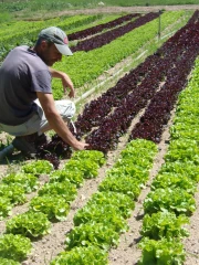 Le Gaec des Accacias se réinvente au grès des évolutions