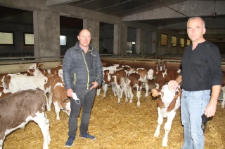 Covid-19  : Bovi-Coop  fait preuve de réactivité  ! 