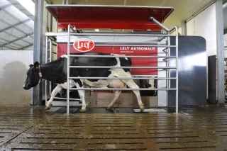 Aides PCAE : les critères d’attribution évoluent