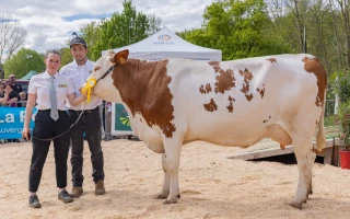 Passion, partage, prestige : l’âme des concours agricoles