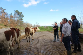 La génétique est entrée dans les mœurs