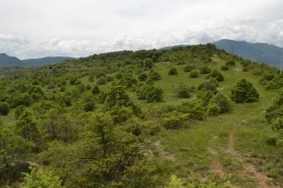 Chasseurs et agriculteurs, unis pour la biodiversité