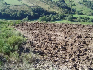 Pièges à sangliers : un sujet sensible entre agriculteurs et chasseurs ?