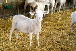 L'agenda de la semaine