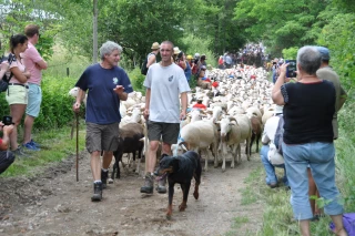 Incendie dans une bergerie : solidarité avec Guilhem Dangel