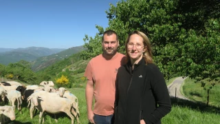 « La pâture aide beaucoup »