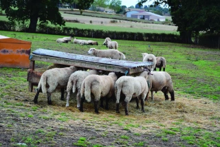 S’adapter pour durer après quatre années d’installation