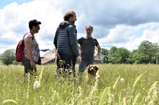 Prairies fleuries : et le vainqueur est...