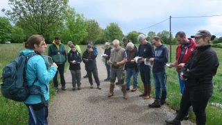 Coiron : à la découverte de la diversité floristique des prairies naturelles