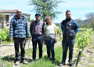 Betterave fourragère : à Beaulieu, les portes-graines se portent bien !