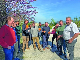 Avec l’Adaf, une formation avec un expert sur les agrumes résistants au froid