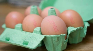 Prix des œufs :  l'impasse avec plusieurs enseignes