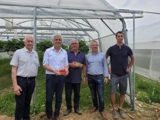 Le plan 2023-2026 de la filière fruits dévoilé