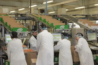 Matines va cesser ses activités à l'automne