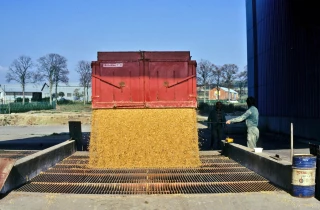 Premier chiffrage du coût de la logistique des grains bio