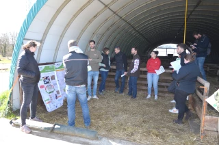 Optimiser ses surfaces en élevage ovin