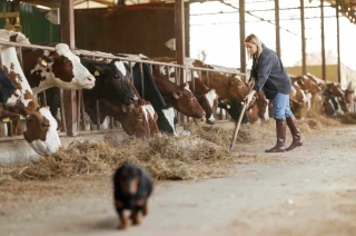 La FNB veut un engagement de la filière