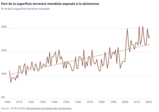 L’OCDE alerte sur les conséquences économiques de la sécheresse