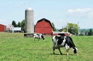 Aux États-Unis, les prix du beurre et du lait ne tiennent qu’à un fil